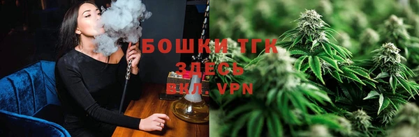 шишки Михайловск