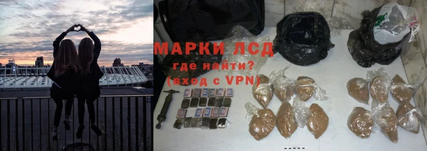 СК Надым
