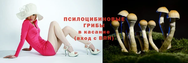 СК Надым