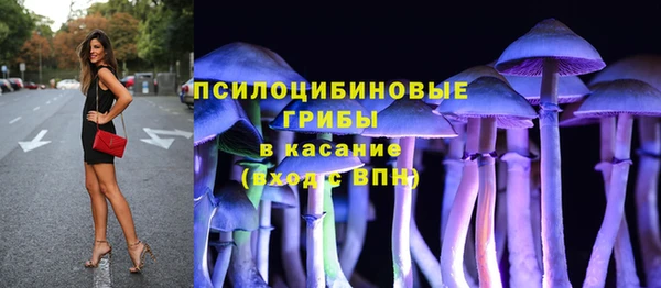 гидропоника Нефтекумск