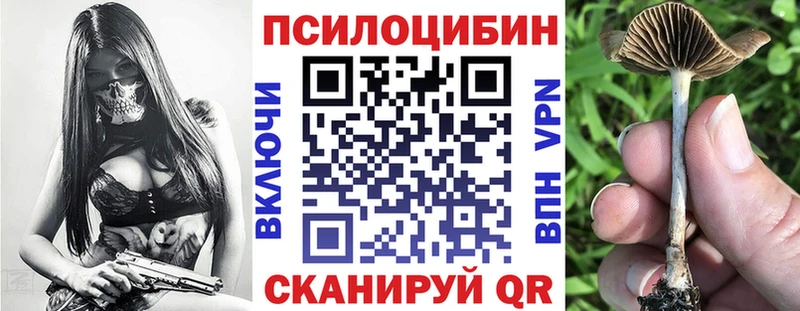 Псилоцибиновые грибы Cubensis кракен как зайти Зубцов